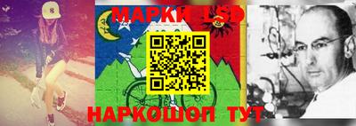 шишки Нальчик