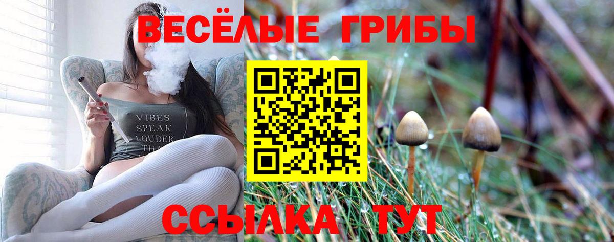 Галлюциногенные грибы прущие грибы  Вход с VPN  Ступино 